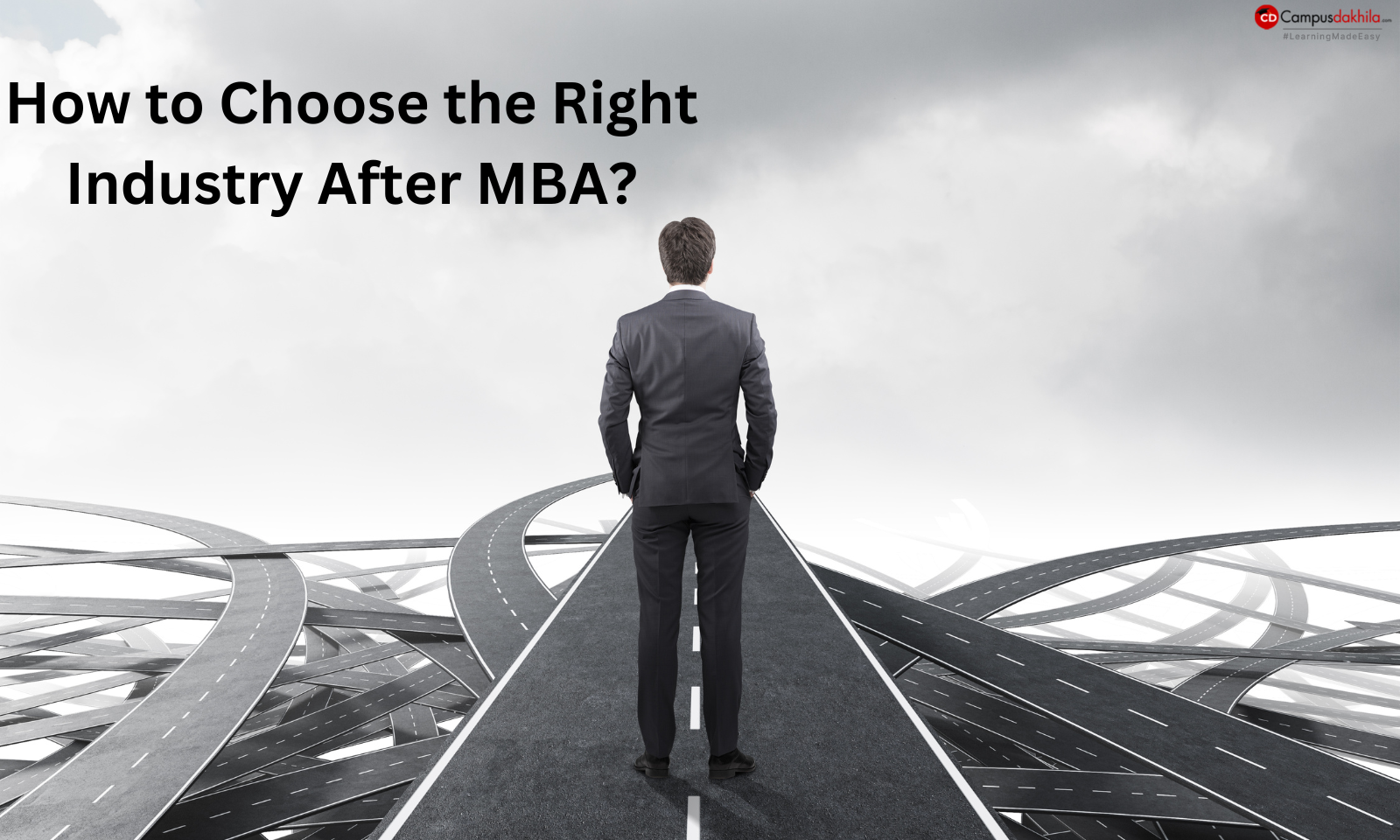 How to Choose the Right Industry After MBA?