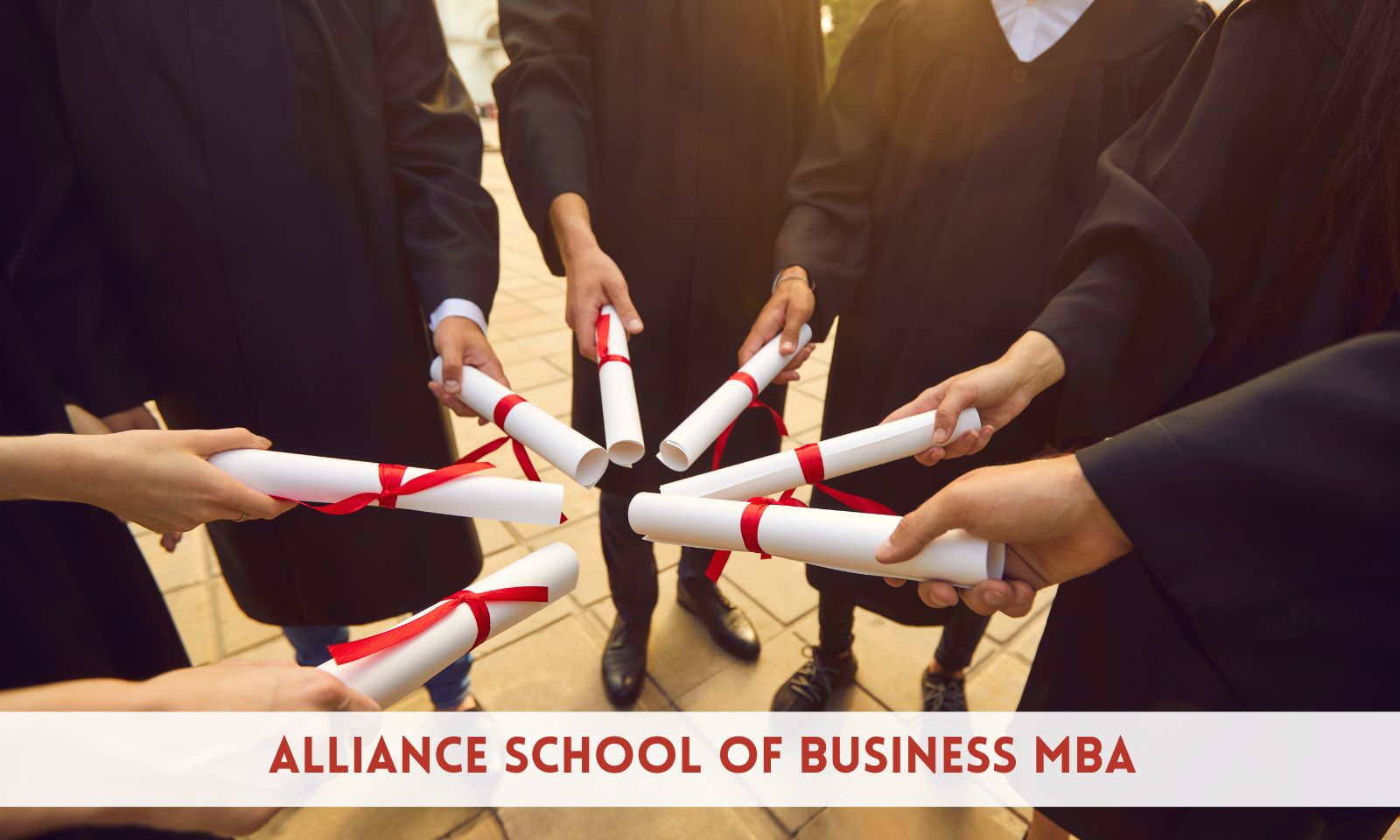 A Complete Guide to Alliance School of Business MBA