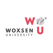 Woxsen University